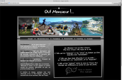 Site Web oui-monsieur.com